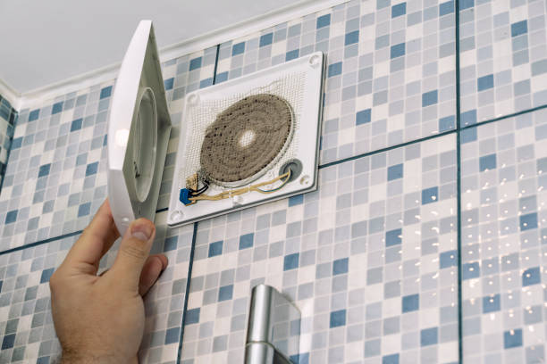 Best Dryer Vent Cleaning Services  in De Kal, TX